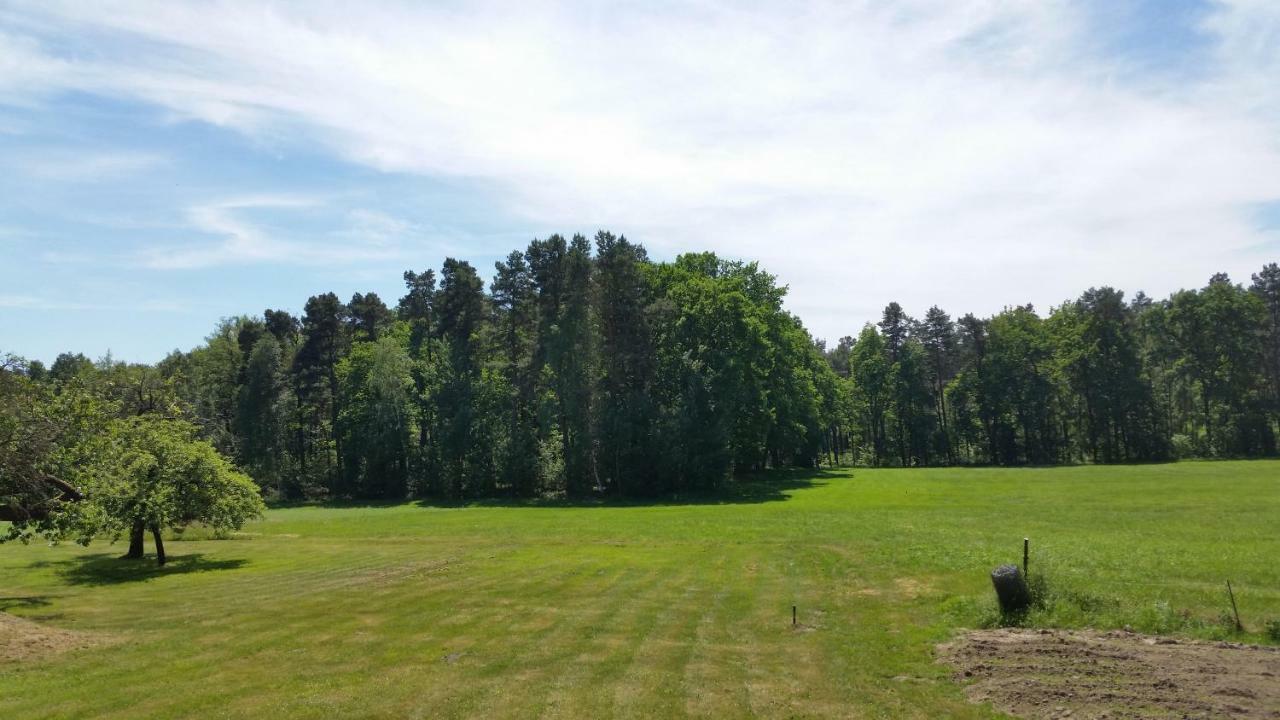 Ferienwohnung "Am Weinberg" Bad Schmiedeberg Exterior foto